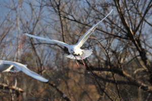 ��肩����