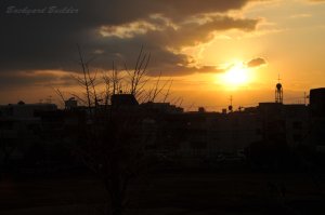 �u�[�������ꂢ���ˁv