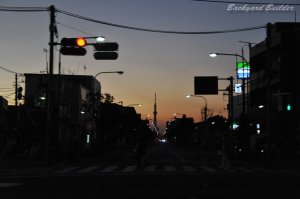 �ԑ����猩���Ƃ���[���̌����_