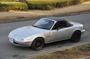 �N���[�Y�h�g�b�v�̃V���G�b�g���D��(^^)