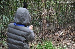 �l�R�����B�e