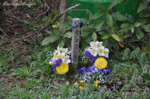 �^�k�g����...