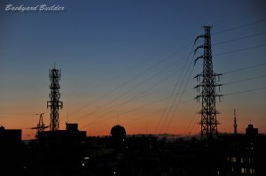 �Q������̒���