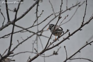 ���N�h��