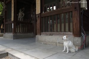 �C�k�̂��Ɓ[����H