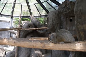 �s�D�������R������