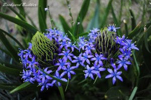 ���R�͔�����