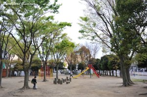 �O�p����