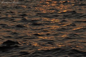 ����͓��{�̊C