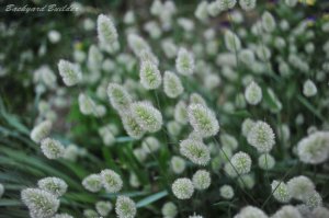 �l�R���D������