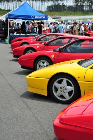 �t�F���[�� �t�F���[�� �t�F���[��