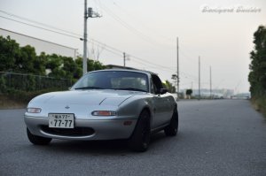 �w���ȍ\�}(��)