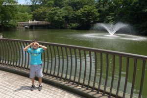 ��̓�����