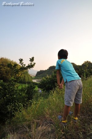 �_�ƃT�C�R�[