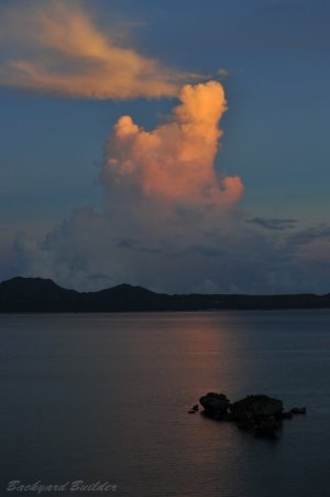 ����̗[��