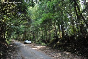 ���C���f�B���O���[�h