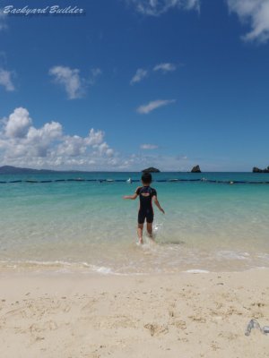 ���C�A�����_