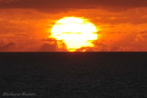 D700���{�g���~���O