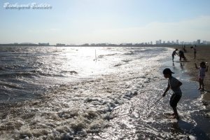 �����ՊC����