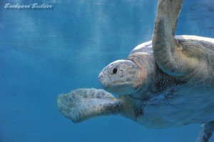 �����ĎB��܂����@...�Ȃ�Ă������[��i�O�O�j