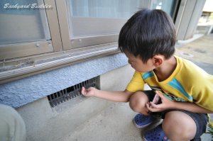 ���̉��ɂۂ���