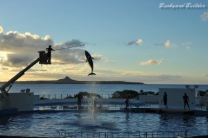 D700���܂��܂������I