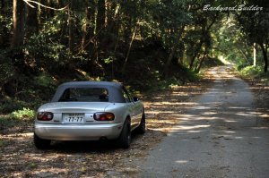 �c�[�����O���a