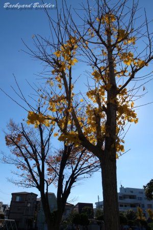 �������H