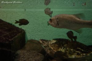 ��̓������̃o�X