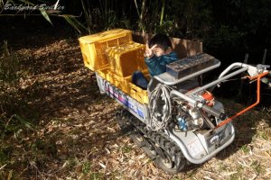 6��6����