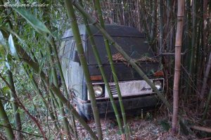 ����A�g���[