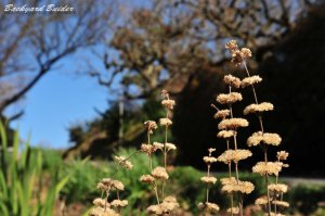 ���t���a