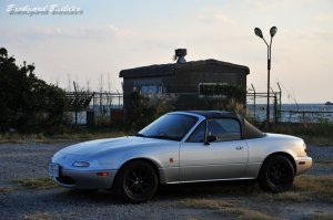 ���h�X�^@�����p