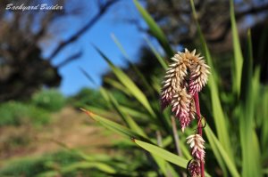 �N���[�Y�A�b�v