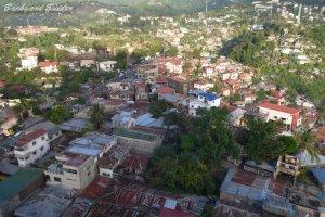 �}�E���e���r���[