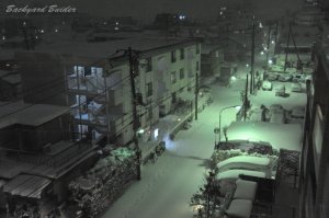 45�N�Ԃ�̑��