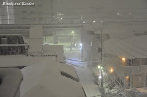 �ߌ�11��@�s��