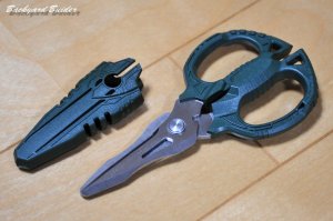 �S�r�n�T�~GT