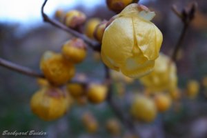 �~�̃C�G���[