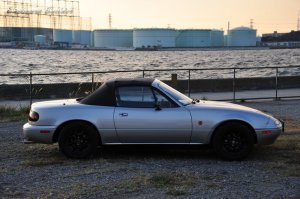 20�N����The SurLuster���p��