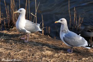 �Z�O���K����