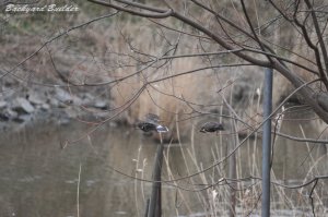 ���N�h��