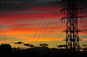 ���{�̗[�Ă�