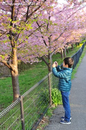 ���q���J�����D��(^^)