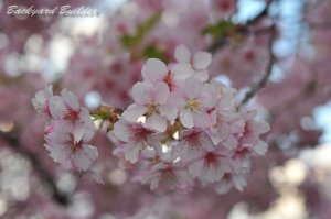 �t���b�V���B�e