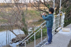 �J���E�����ʒ�