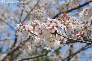 �Ԍ��ɍs���Ă���(^^)