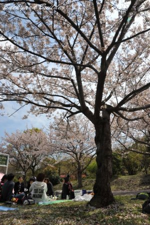 �Ԍ��ɍs���Ă���(^^)