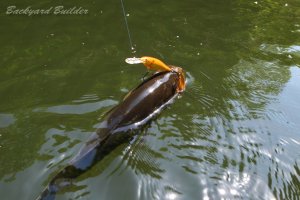 �V���b�h���b�vSR-7