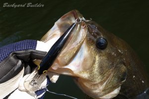 �V���b�h���b�v